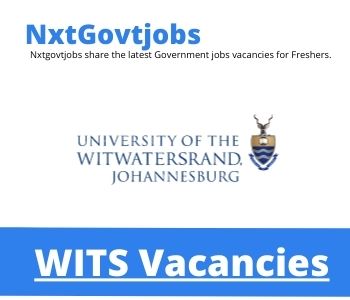 WITS Teaching Assistants Vacancies in Johannesburg 2023