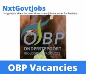 OBP Boiler Operator Vacancies in Johannesburg 2023