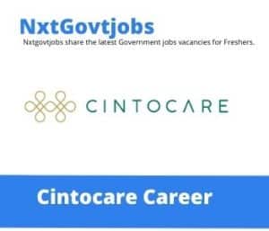 Cintocare Resources Administrative Clerk Vacancies in Pretoria – Deadline 07 Sep 2023