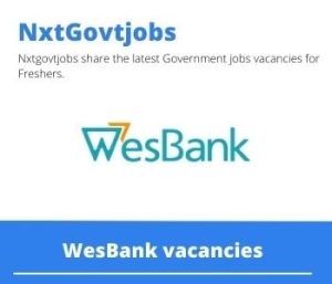 WesBank Administrator Operations Vacancies in Johannesburg – Deadline 31 Jul 2023