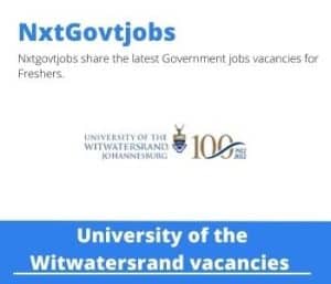 WITS Cataloguing And Metadata Services Librarian Vacancies in Johannesburg – Deadline 25 Dec 2023