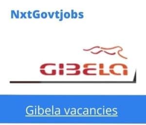 Gibela Head of PME Designate Vacancies in Johannesburg – Deadline 24 July 2023