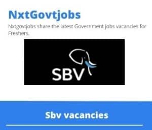 Sbv National Fleet & Governance Administrator Vacancies in Johannesburg – Deadline 30 Nov 2023