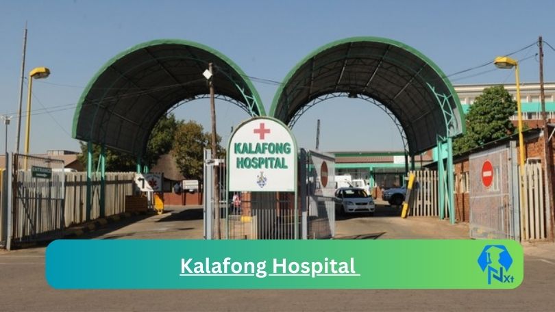 New Kalafong Hospital Vacancies 2024 @professionaljobcentre.gpg.gov.za Career Portal