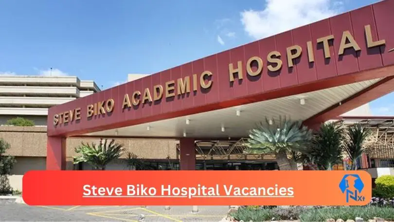 New Steve Biko Hospital Vacancies 2024 @professionaljobcentre.gpg.gov.za Career Portal